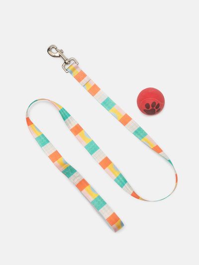 dog leads for all types of dogs